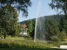 2017-08-28 Gartenschau-Herrenalb_09